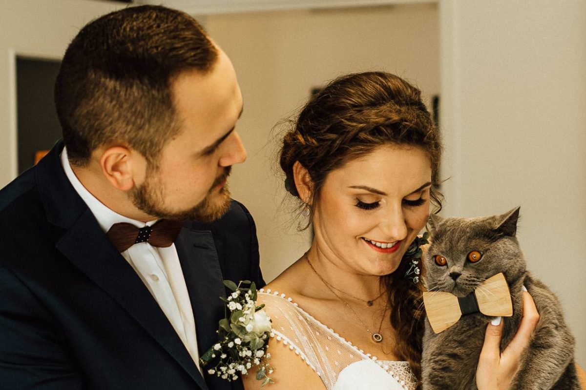 Braut und Bräutigam und eine Katze mit Holzfliege. 