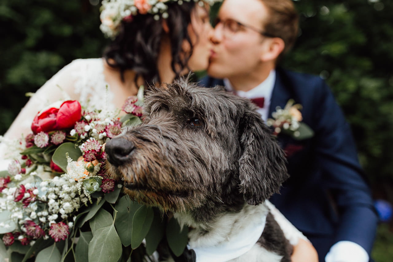 Brautkuss, Brautstrauß und Hund bei Boho-Hochzeit