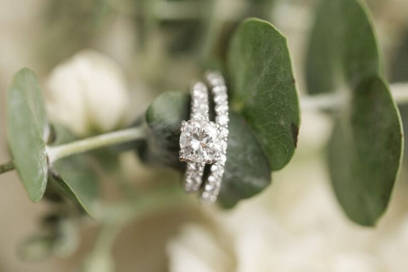 Ein Diamantring hängt an einem Eukalyptuszweig als Symbol für die Eukalyptus Bedeutung Hochzeit.