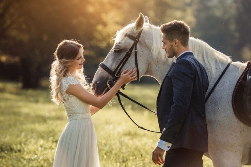 Braut und Bräutigam mit einem weißen Pferd bei einer Hochzeit im Mai im Freien.