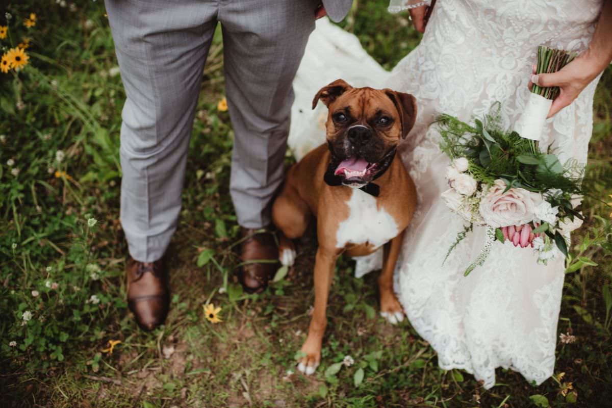 Glückwünsche zur Hochzeit Die 50 schönsten Sprüche LISTE!